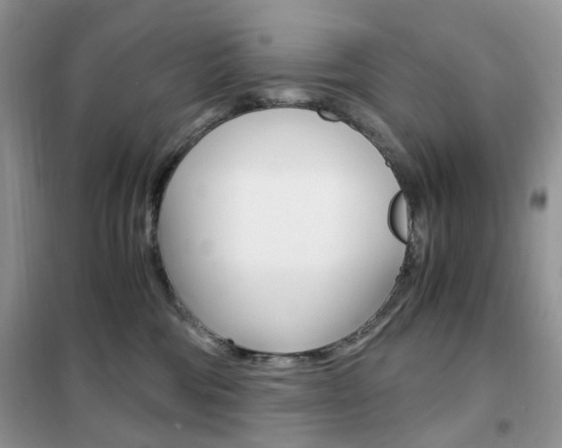 X0000102340330200808010918