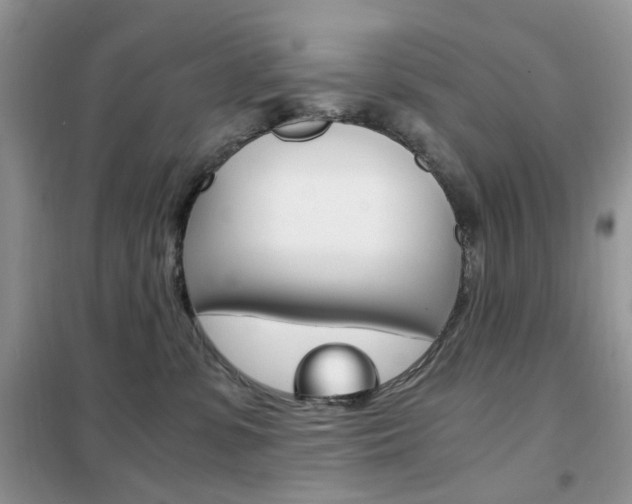 X0000102340331200808010918