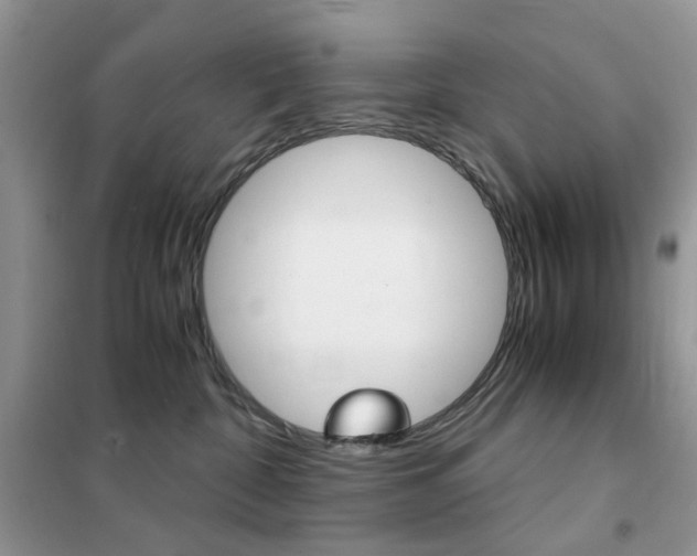 X0000102340332200808010918
