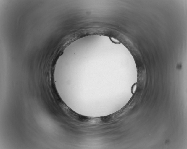 X0000102340333200808010918