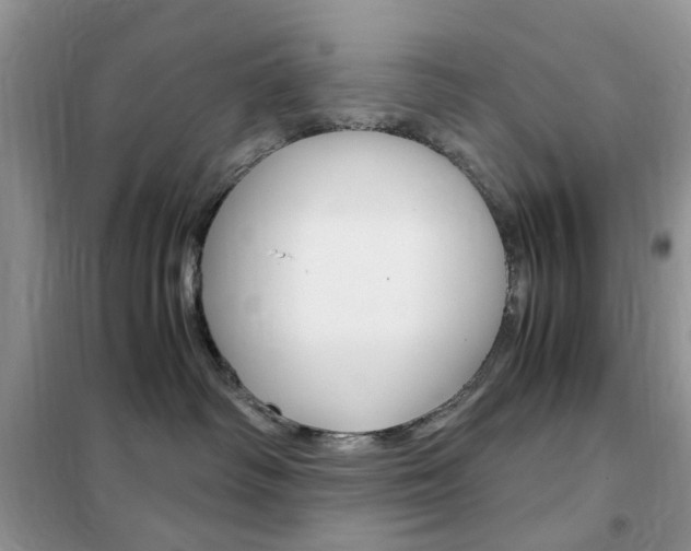 X0000102340334200808010918