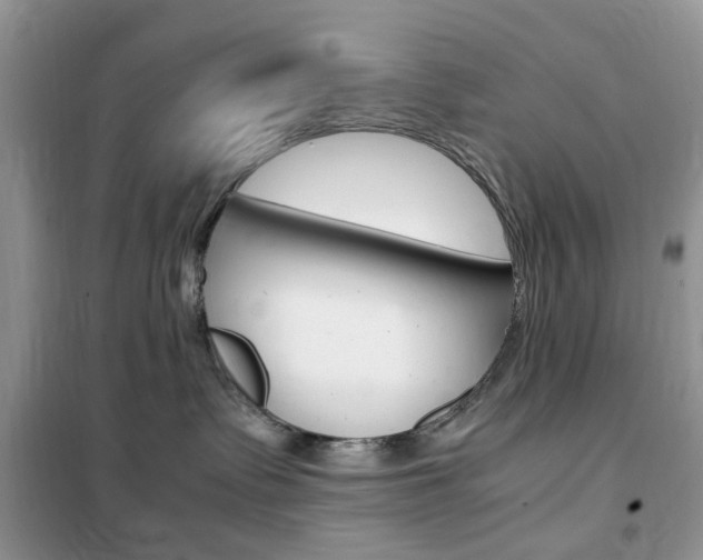 X0000102340335200808010918