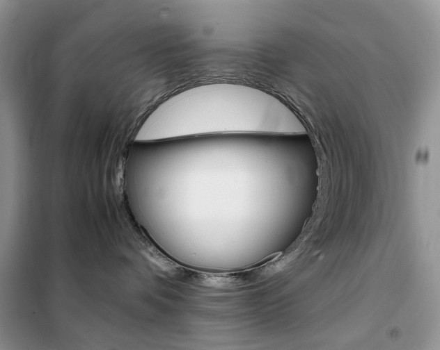 X0000102340336200808010918