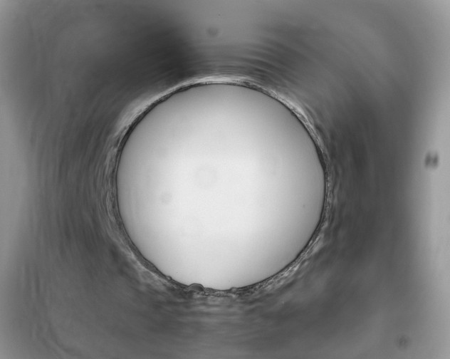 X0000102340337200808010918