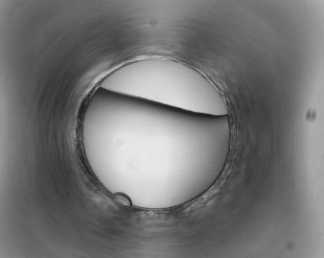 X0000102340338200808010918
