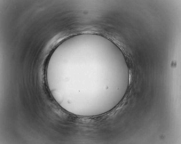 X0000102340339200808010918