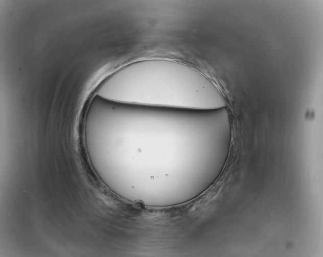 X0000102340340200808010918