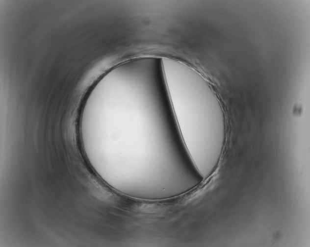 X0000102340341200808010918
