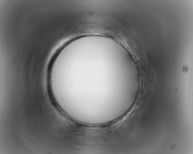 X0000102340342200808010918