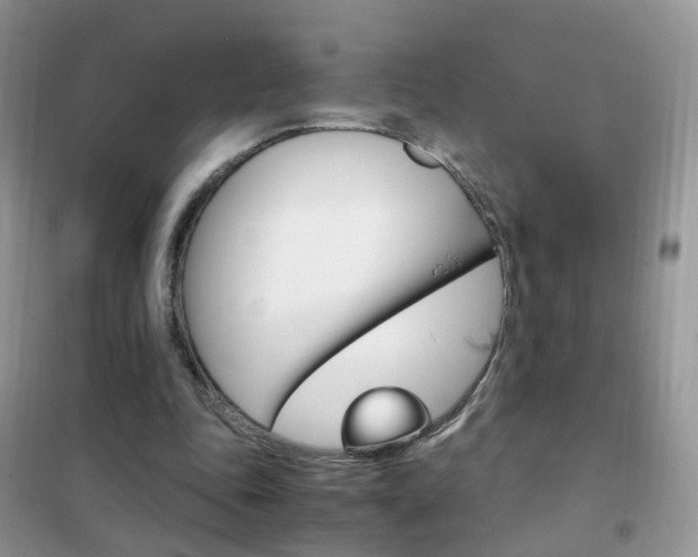 X0000102340343200808010918