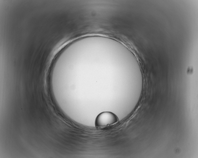 X0000102340344200808010918