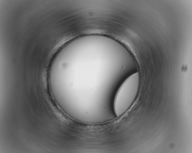 X0000102340345200808010918