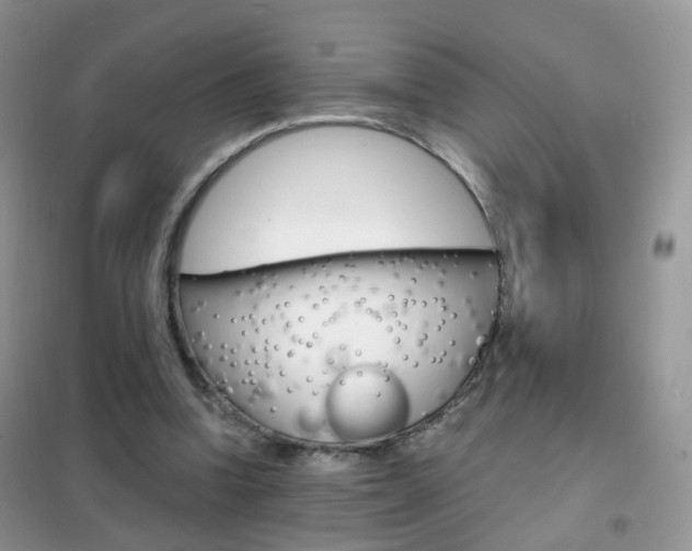 X0000102340346200808010918