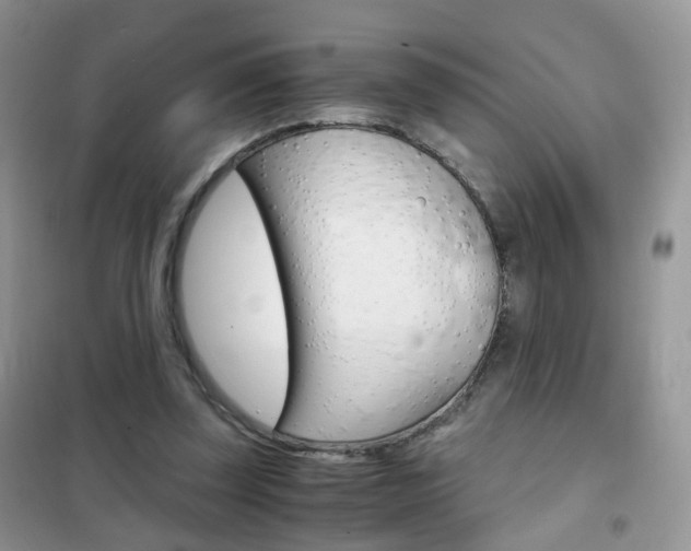 X0000102340347200808010918