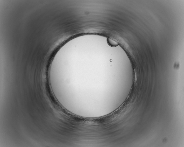 X0000102340348200808010918