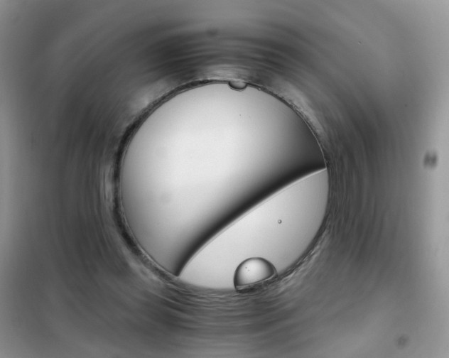X0000102340349200808010918