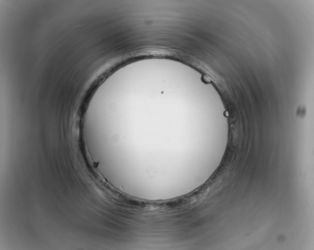 X0000102340350200808010918
