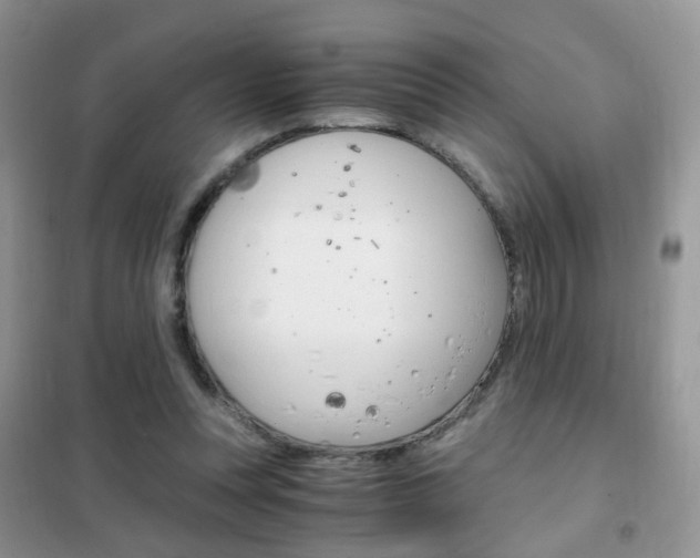 X0000102340351200808010918