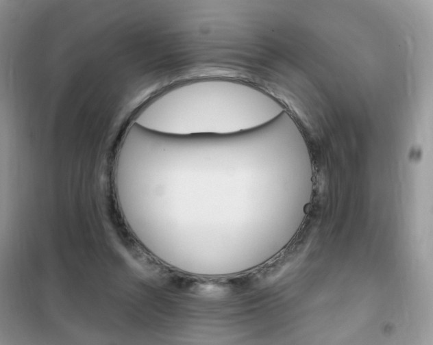 X0000102340352200808010918