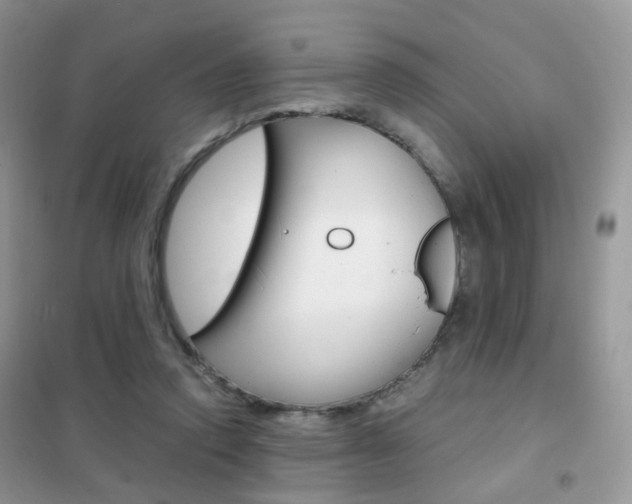 X0000102340354200808010918