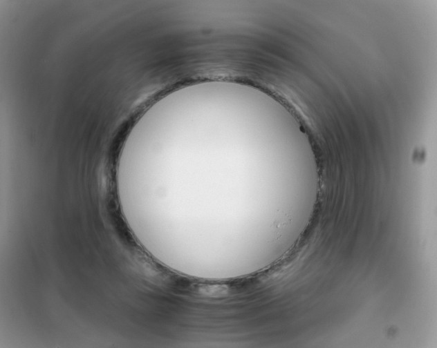 X0000102340355200808010918