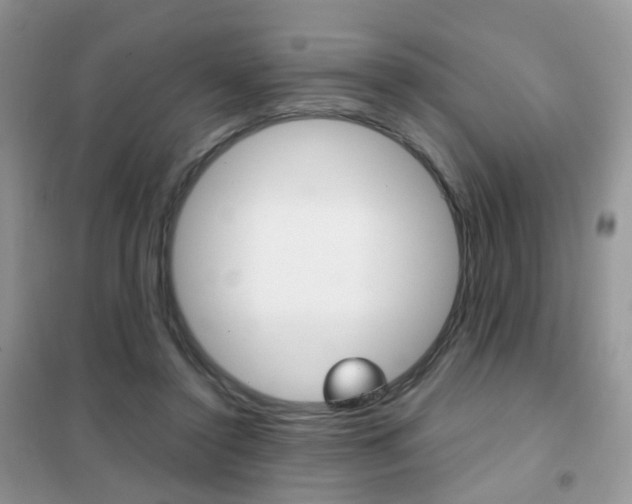 X0000102340356200808010918