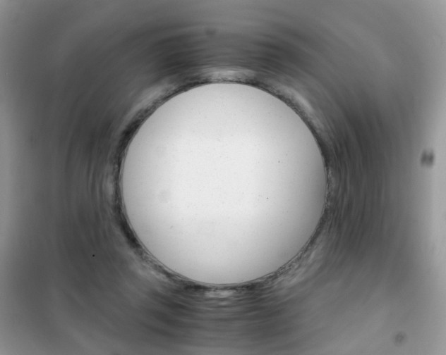 X0000102340357200808010918