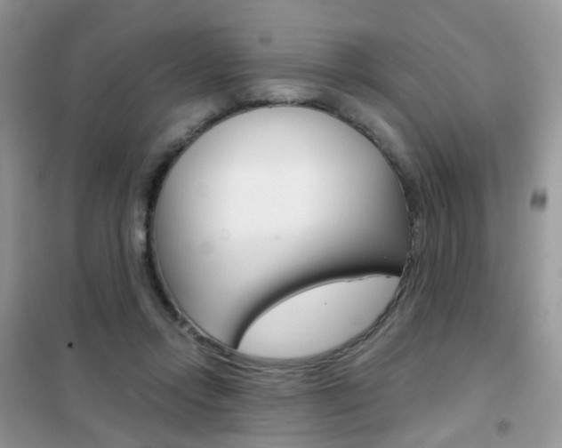 X0000102340358200808010918
