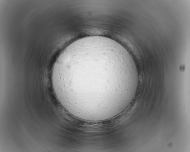 X0000102340359200808010918