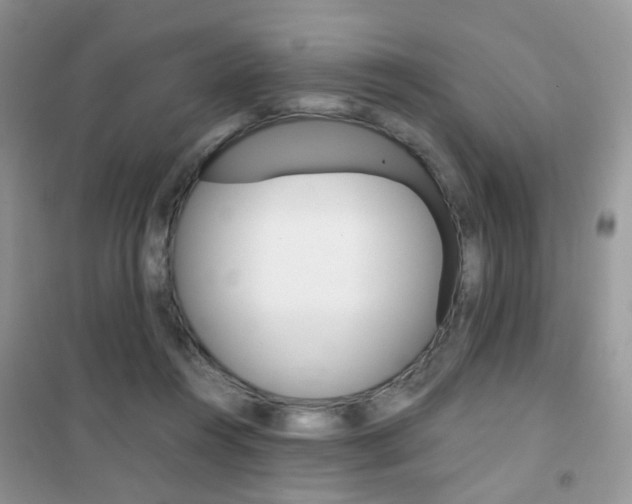 X0000102340360200808010918