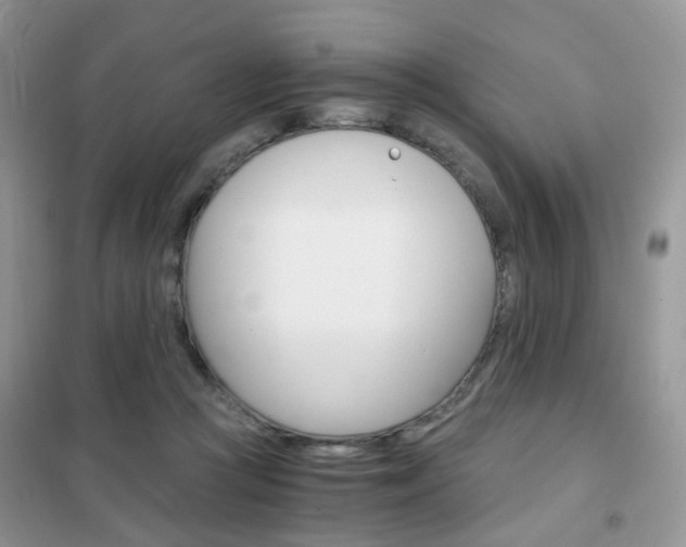 X0000102340361200808010918
