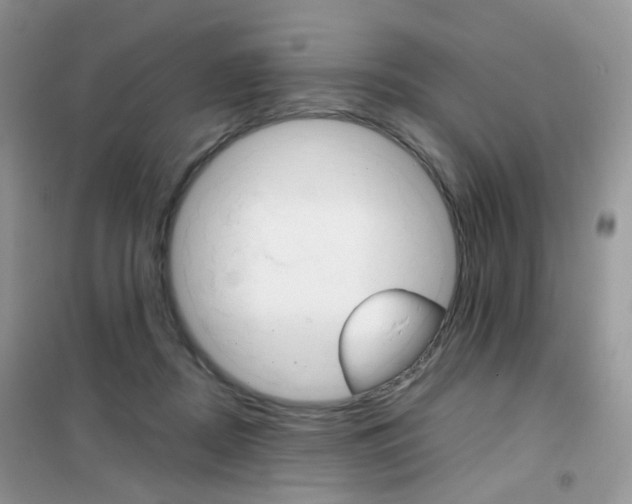 X0000102340362200808010918