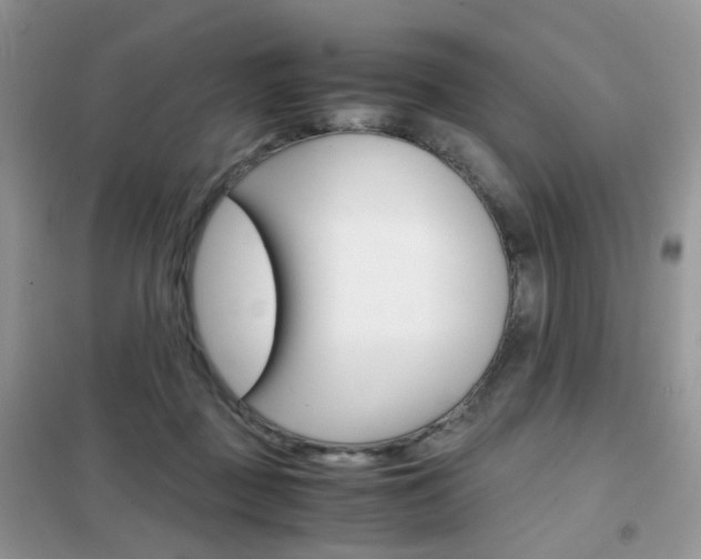 X0000102340363200808010918