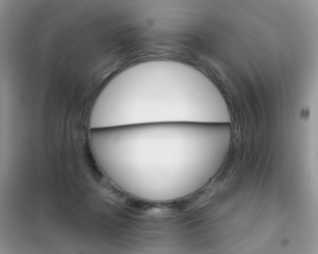 X0000102340364200808010918