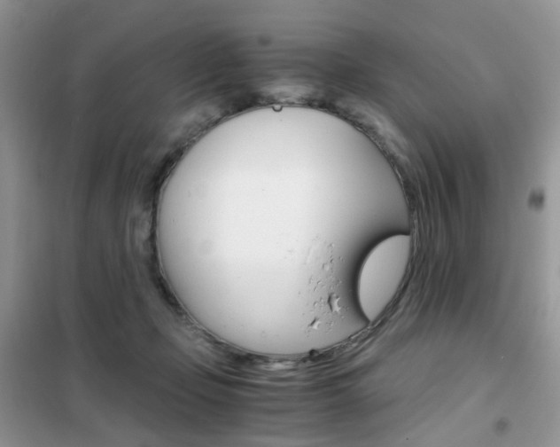 X0000102340365200808010918