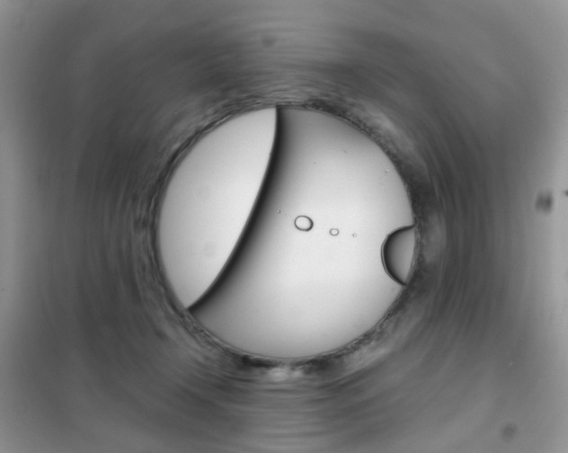 X0000102340366200808010918