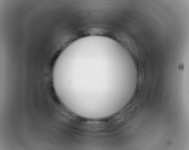 X0000102340367200808010918