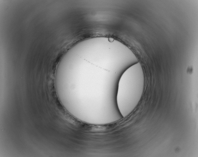 X0000102340369200808010918