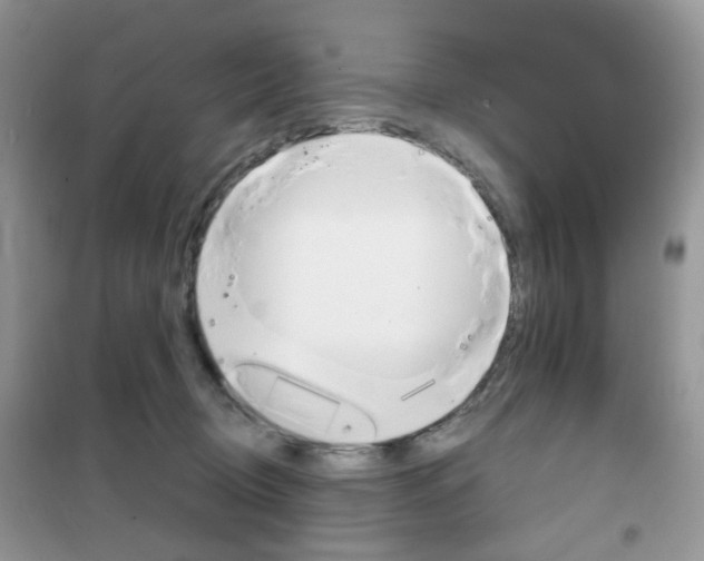 X0000102340370200808010918