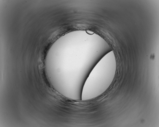 X0000102340371200808010918