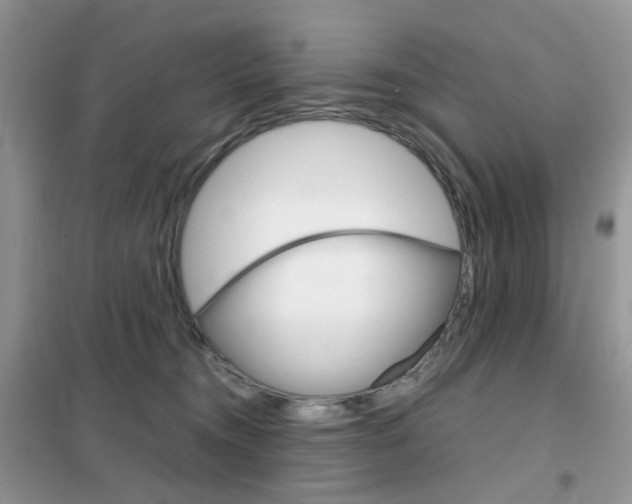 X0000102340372200808010918