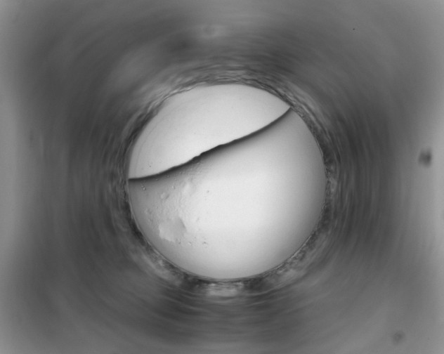 X0000102340373200808010918