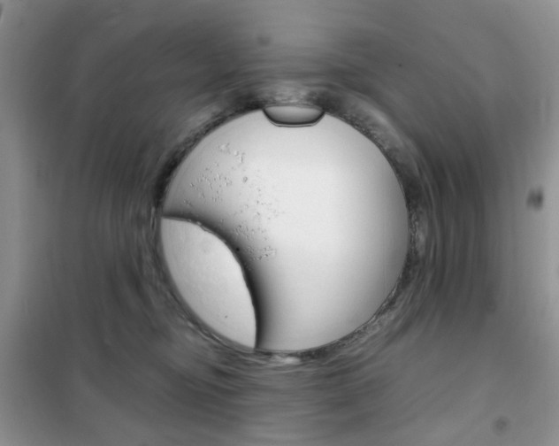 X0000102340374200808010918