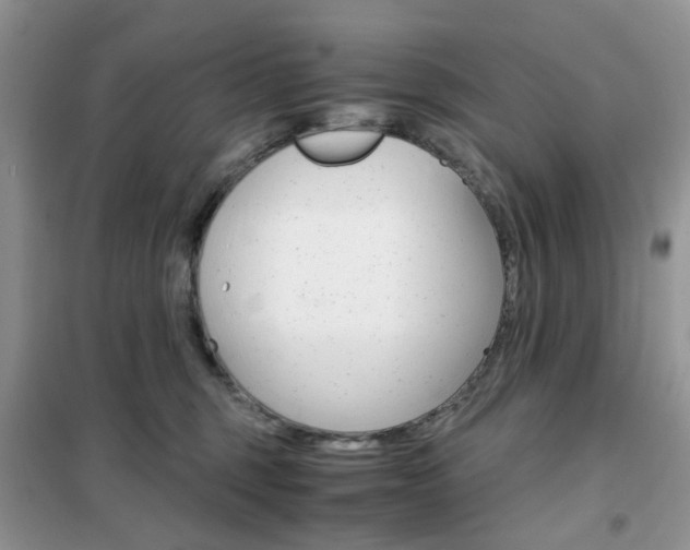 X0000102340375200808010918