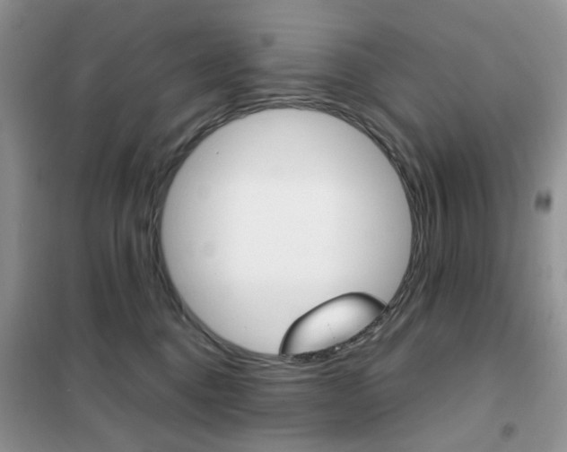 X0000102340376200808010918