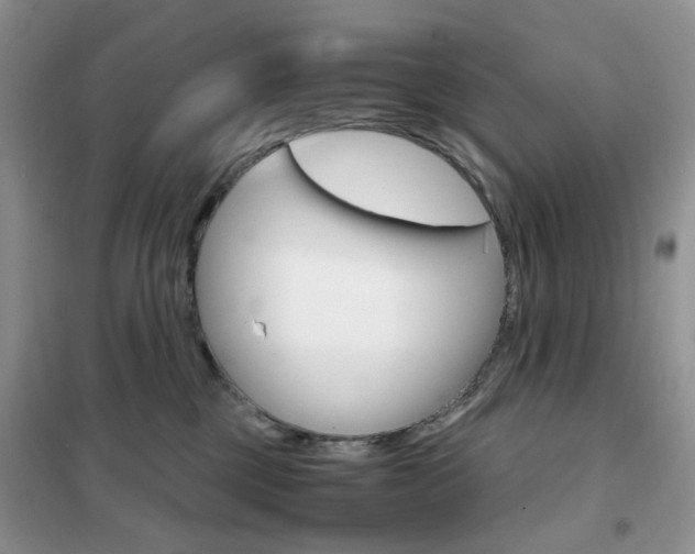 X0000102340377200808010918