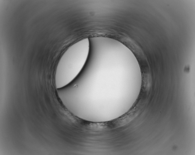 X0000102340378200808010918