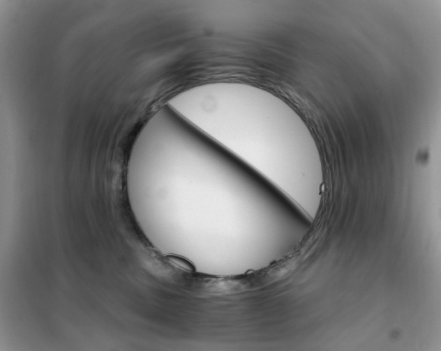 X0000102340379200808010918