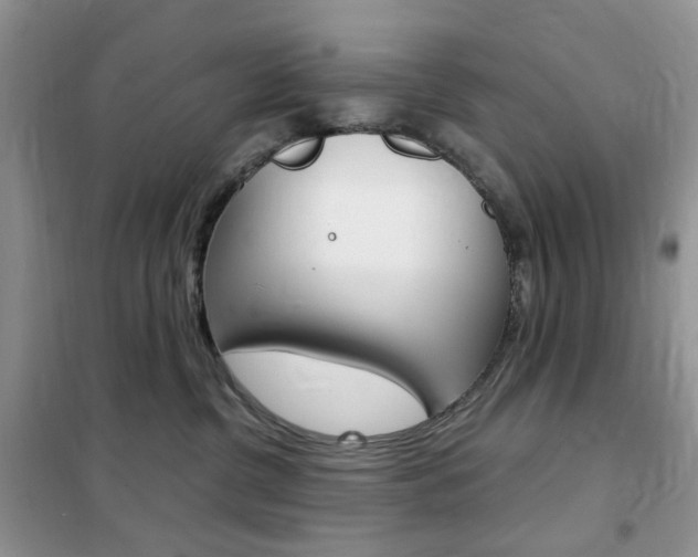 X0000102340380200808010918