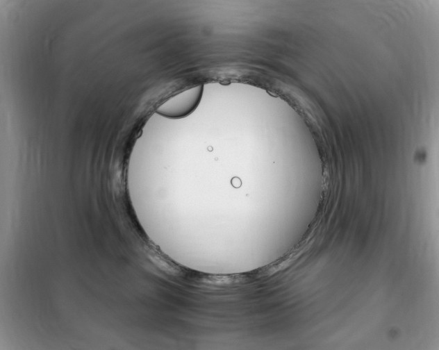 X0000102340381200808010918